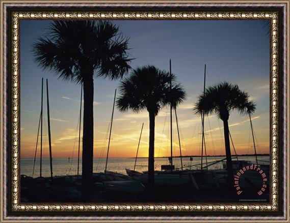 Raymond Gehman Silhouetted Palm Trees And Catamarans Line a Shoreline at Twilight Framed Painting