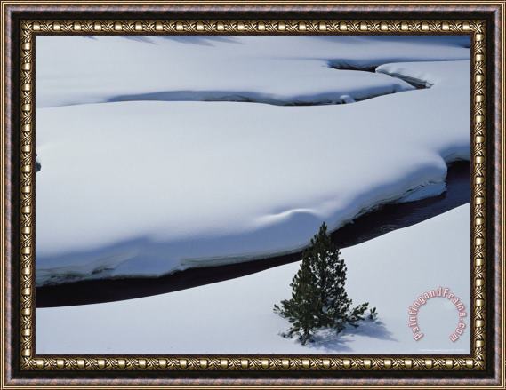 Raymond Gehman Snow Covered Water Virginia Creek Wyoming Framed Painting