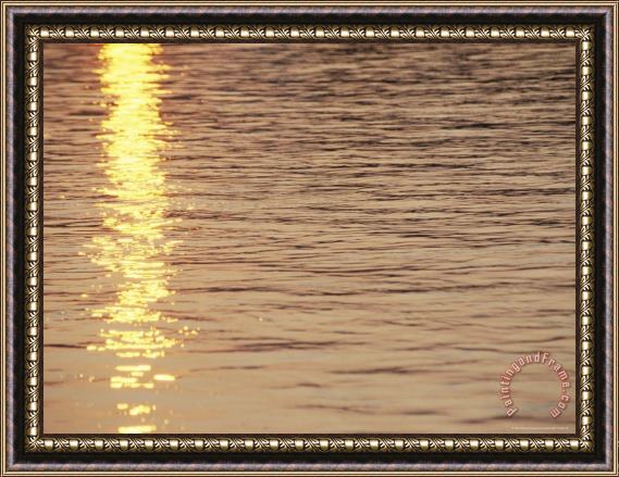 Raymond Gehman Sunlight Reflected on The Surface of The Susquehanna River Framed Painting