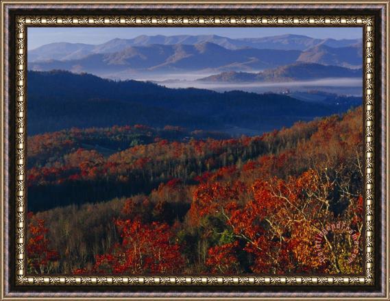 Raymond Gehman Sunrise View From Meadow Creek Lookout And Ridges of Bald Mountains Framed Painting