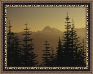 Buy Framed Print