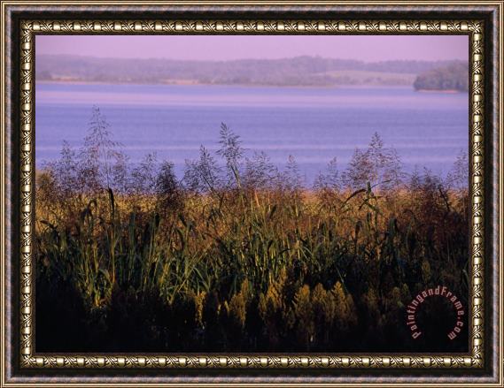 Raymond Gehman The Big Sandy River And Tennessee National Wildlife Refuge Beyond Framed Painting