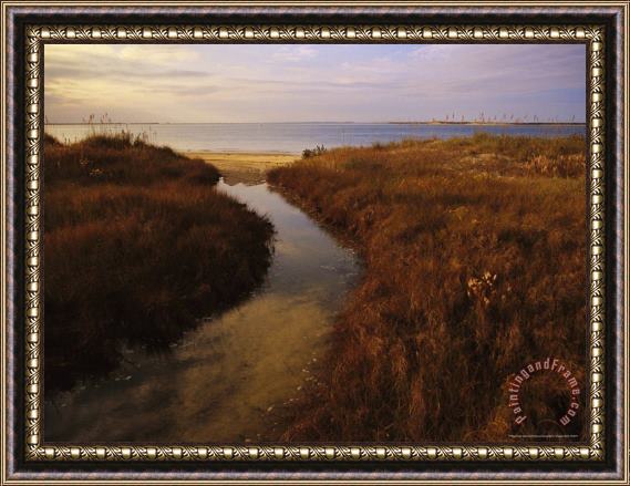 Raymond Gehman Tidal Creek Through Salt Marsh Grasses Framed Print