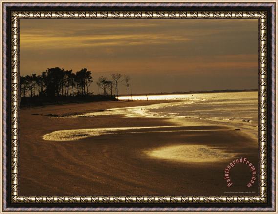 Raymond Gehman Twilight at Low Tide on a Beach with Silhouetted Pine Trees Framed Print