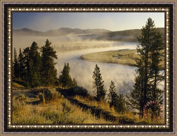Raymond Gehman Veiled in Morning Mist The Yellowstone River Winds Through Hayden Valley Framed Print