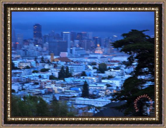 Raymond Gehman View of San Francisco From Buena Vista Park Framed Print