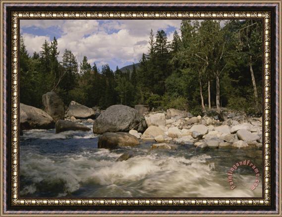 Raymond Gehman White Water Rapids Roll Over Rocks in a River Running Through Woods Framed Painting
