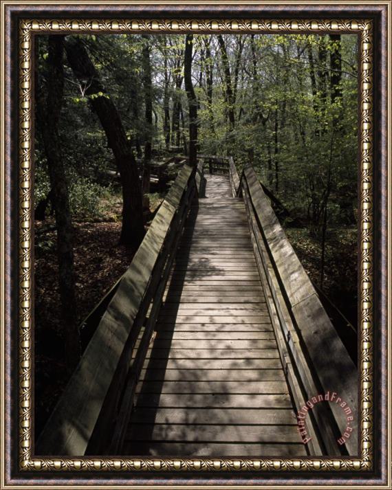 Raymond Gehman Wooden Walkway Through Scenic Forest in Beartown State Park Framed Painting