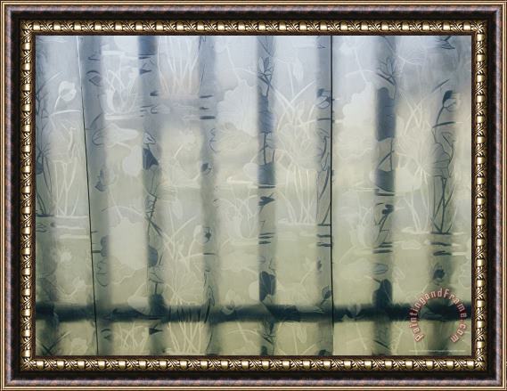 Raymond Gehman Wrought Iron Fence Is Seen Through a Cut Glass Window Framed Print