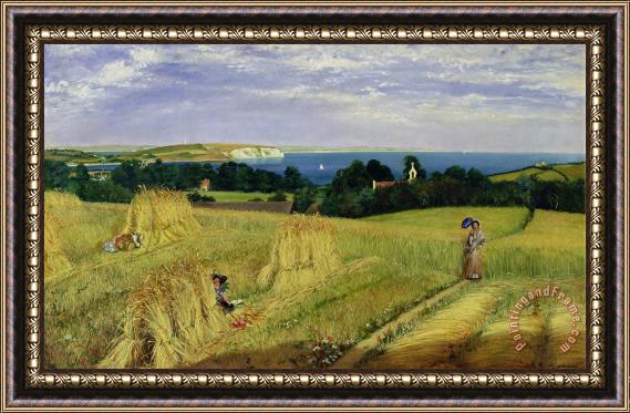Richard Burchett Corn Field in the Isle of Wight Framed Painting