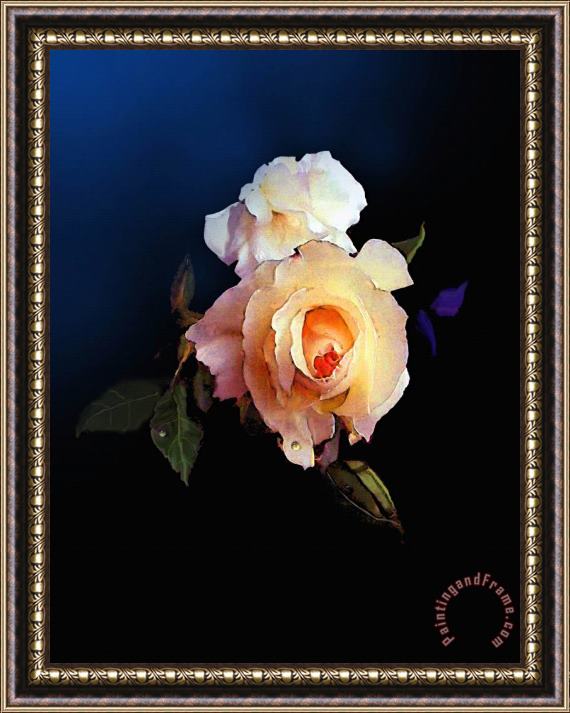 Robert Foster Yellow Rose Framed Print