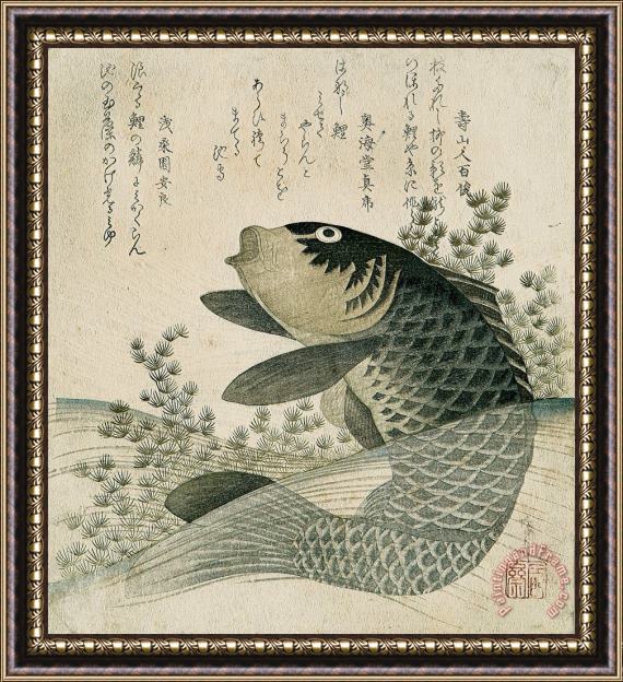 Ryuryukyo Shinsai Carp among pond plants Framed Print
