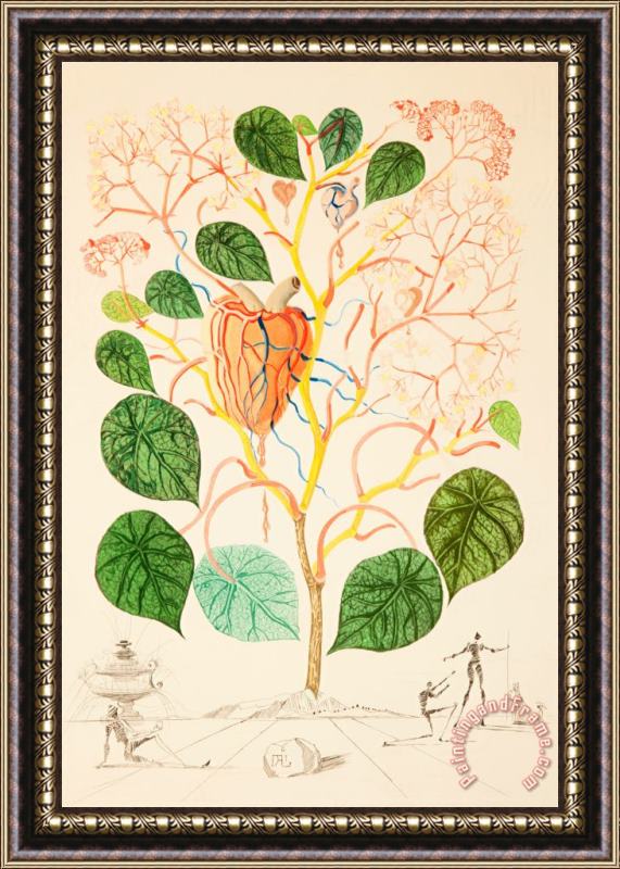 Salvador Dali Begonia (anacardium Recordans), From Flordali, 1968 Framed Painting
