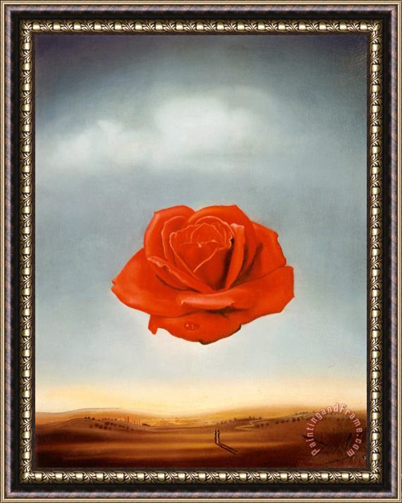Salvador Dali Meditative Rose Framed Painting
