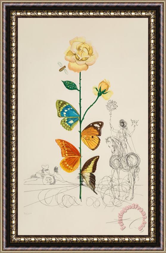 Salvador Dali Rosa Papillo, From Flora Dallinae, 1968 Framed Painting