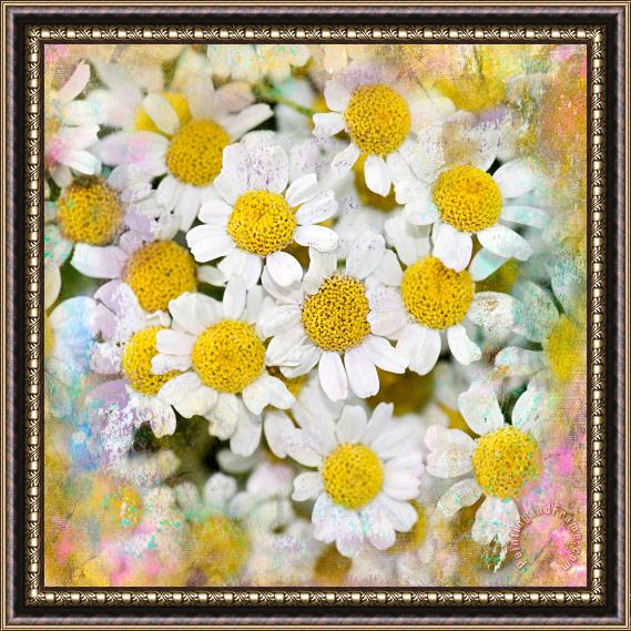 Sia Aryai Daisy Garden Framed Painting
