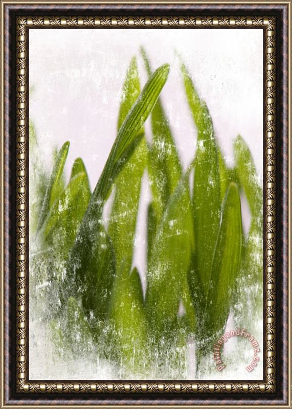 Sia Aryai Green Grass I Framed Painting