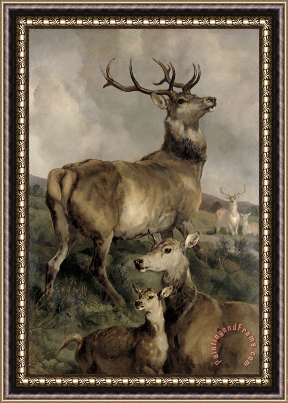 Sir Edwin Landseer The Noble Beast Framed Print