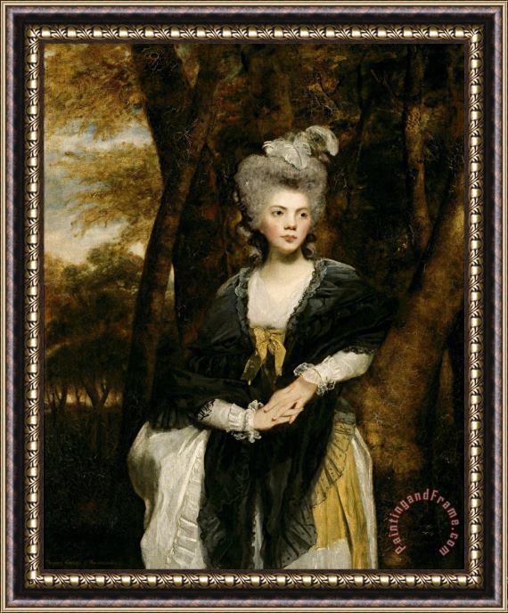 Sir Joshua Reynolds Lady Frances Finch Framed Painting