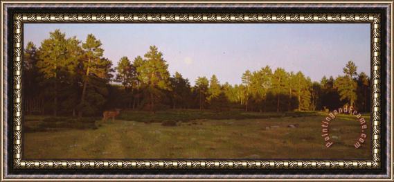 Stephen Gjertson Moonrise Over The Meadow Framed Print