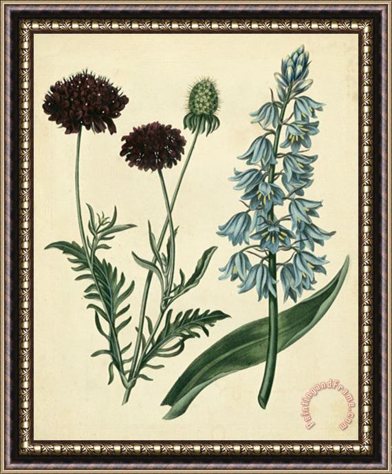Sydenham Teast Edwards Cottage Florals Vi Framed Painting
