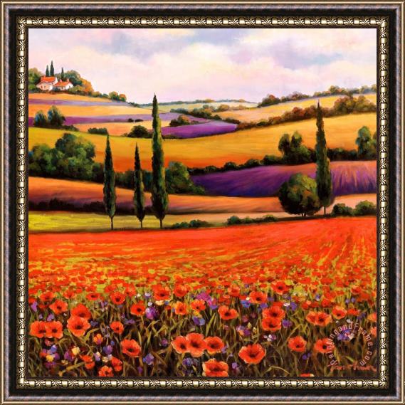 T. C. Chiu Fields of Poppies I Framed Painting