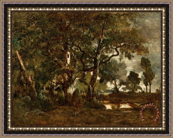 Theodore Rousseau Forest of Fontainebleau, Cluster of Tall Trees Overlooking The Plain of Clair Bois at The Edge of Ba Framed Painting