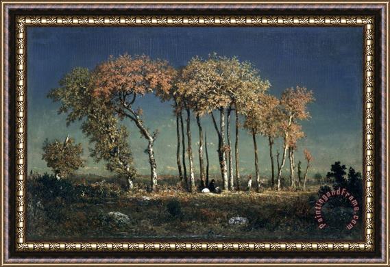Theodore Rousseau Under The Birches, Evening Framed Painting