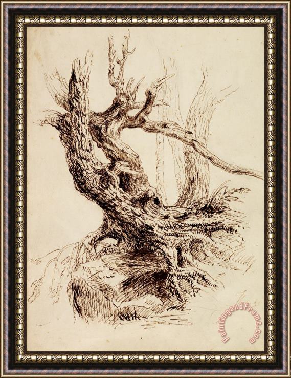 Thomas Cole Gnarled Tree Trunk Framed Painting
