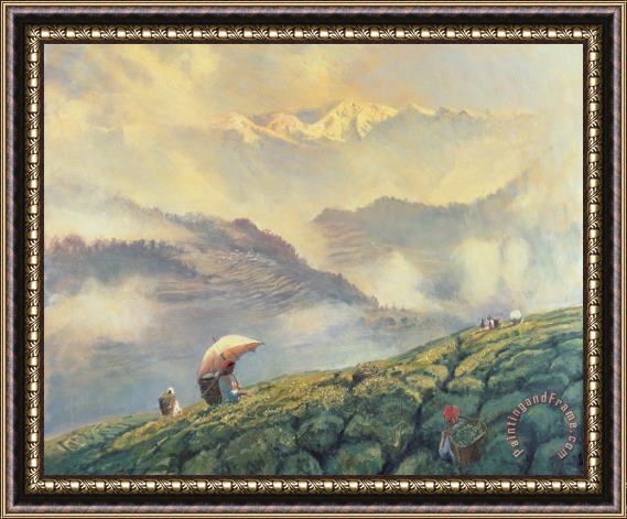 Tim Scott Bolton Tea Picking - Darjeeling - India Framed Painting