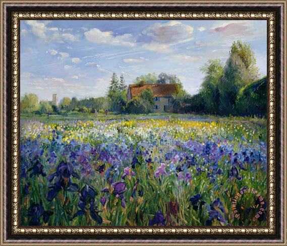 Timothy Easton Evening at the Iris Field Framed Print