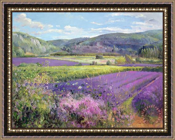 Timothy Easton Lavender Fields in Old Provence Framed Painting