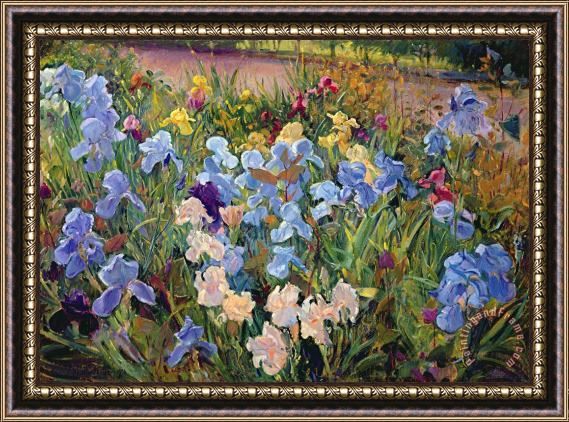 Timothy Easton The Iris Bed Framed Painting
