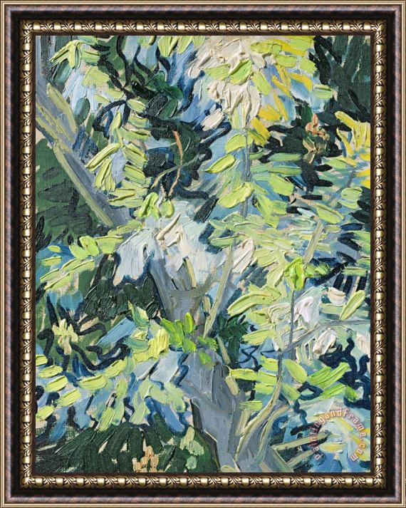 Vincent van Gogh Acacia In Flower Framed Print