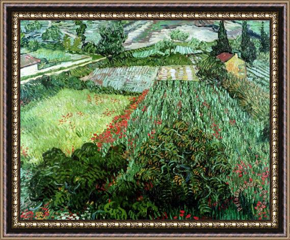 Vincent Van Gogh Field with Poppies Framed Painting