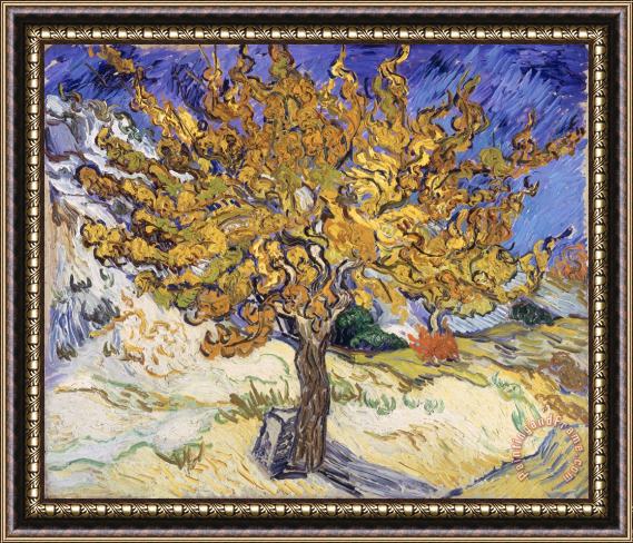 Vincent Van Gogh Mulberry Tree Framed Painting