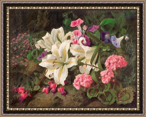 William Ford  Golden-rayed lily of Japan Framed Painting