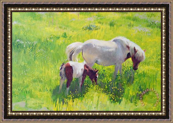 William Ireland Piebald horse and foal Framed Print