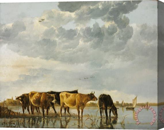 Aelbert Cuyp Cows in a River Stretched Canvas Print / Canvas Art