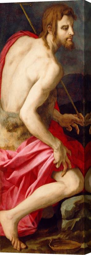 Agnolo Bronzino St. John The Baptist Stretched Canvas Print / Canvas Art