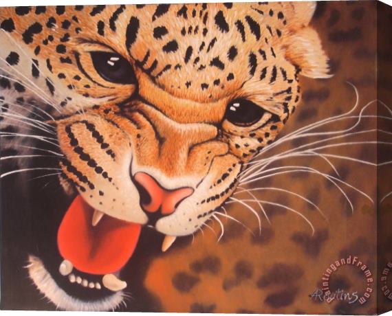 Agris Rautins Baby Leopard Stretched Canvas Painting / Canvas Art