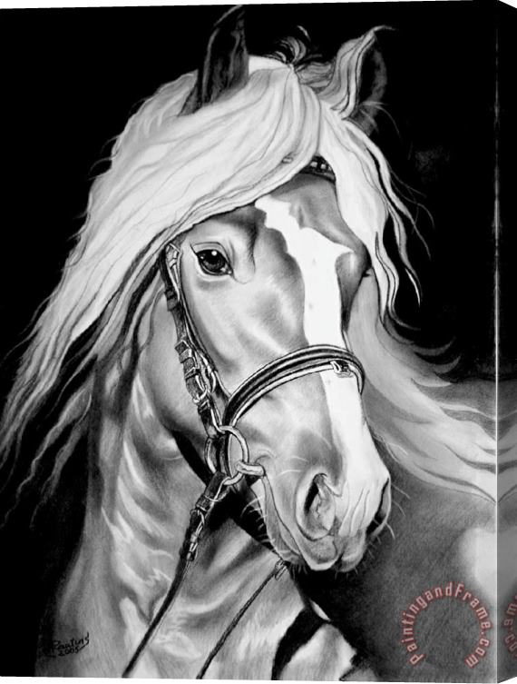 Agris Rautins Horse Stretched Canvas Painting / Canvas Art