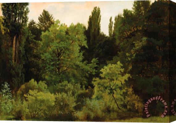 Albert Bierstadt Deep in The Rockies Stretched Canvas Print / Canvas Art