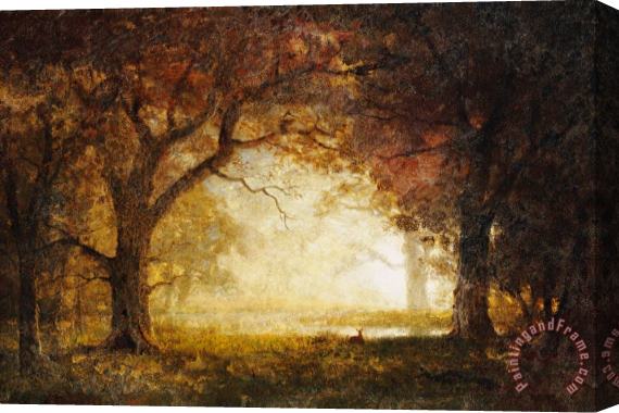 Albert Bierstadt Forest Sunrise Stretched Canvas Print / Canvas Art
