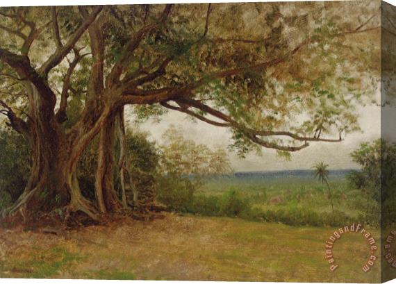Albert Bierstadt The Landing Of Columbus Stretched Canvas Print / Canvas Art