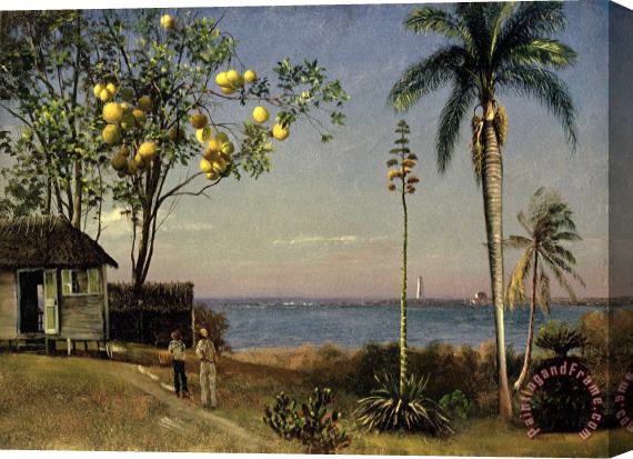 Albert Bierstadt Tropical Scene Stretched Canvas Print / Canvas Art