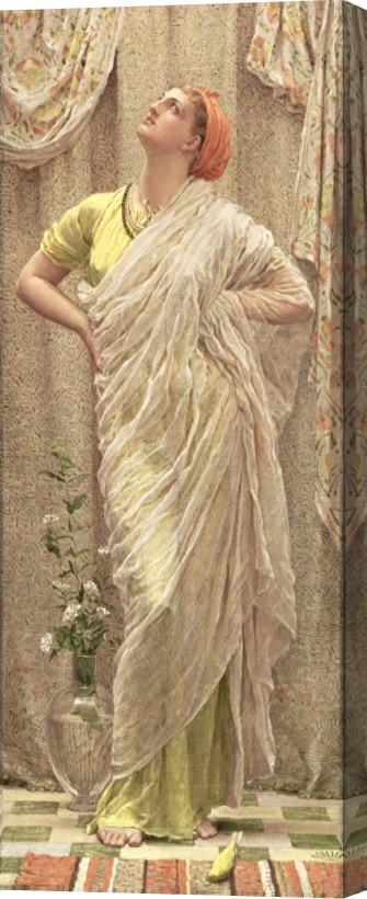 Albert Joseph Moore Birds of the Air Stretched Canvas Print / Canvas Art