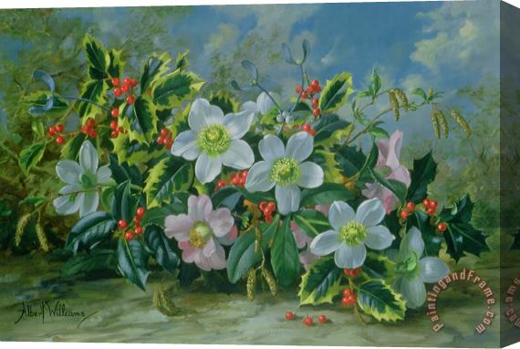 Albert Williams Christmas Roses And Holly Stretched Canvas Painting / Canvas Art