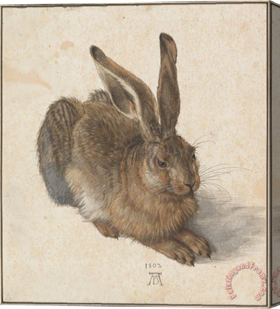 Albrecht Durer Hare Stretched Canvas Painting / Canvas Art