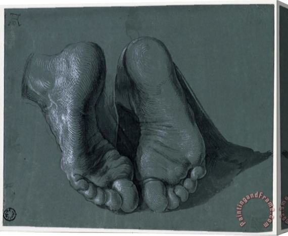 Albrecht Durer Study of Two Feet Stretched Canvas Print / Canvas Art